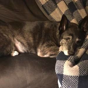 Meet your Posher, Richard